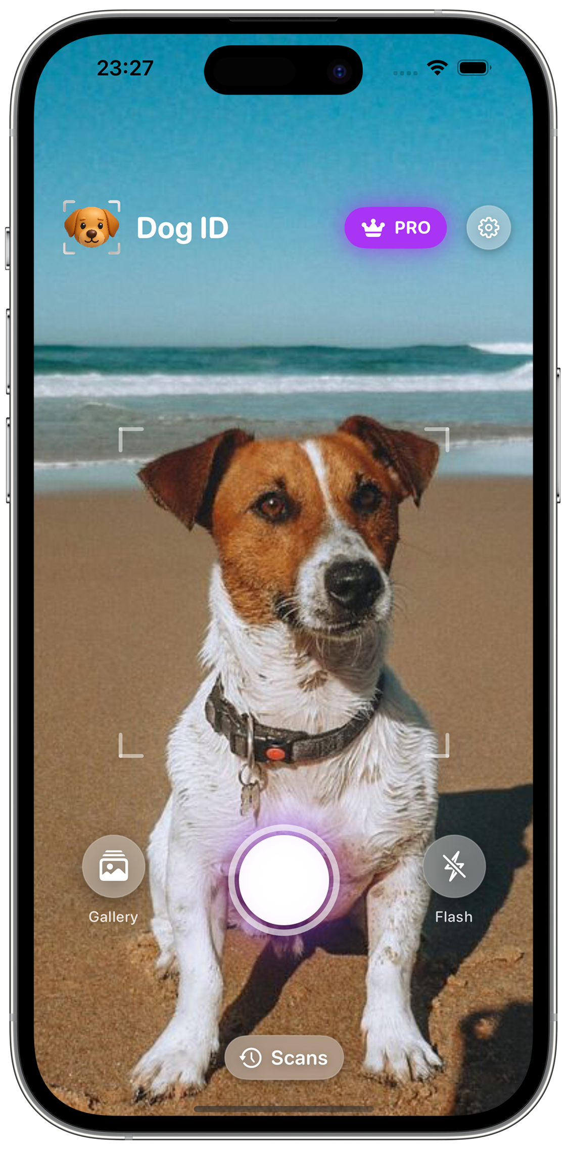 Dog Identifier app screenshot showing camera interface for dog breed identification